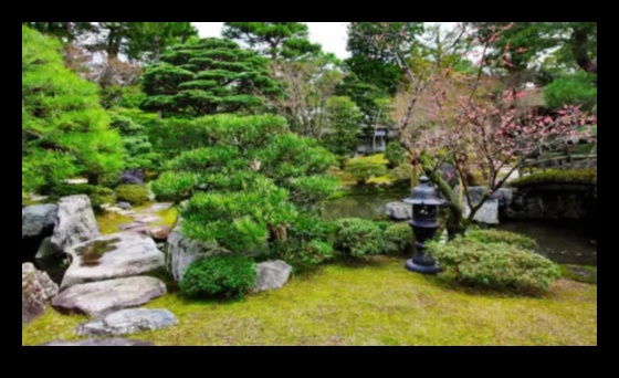 Prieka izkopšana: DIY elegance apburošai dārza patvērumam