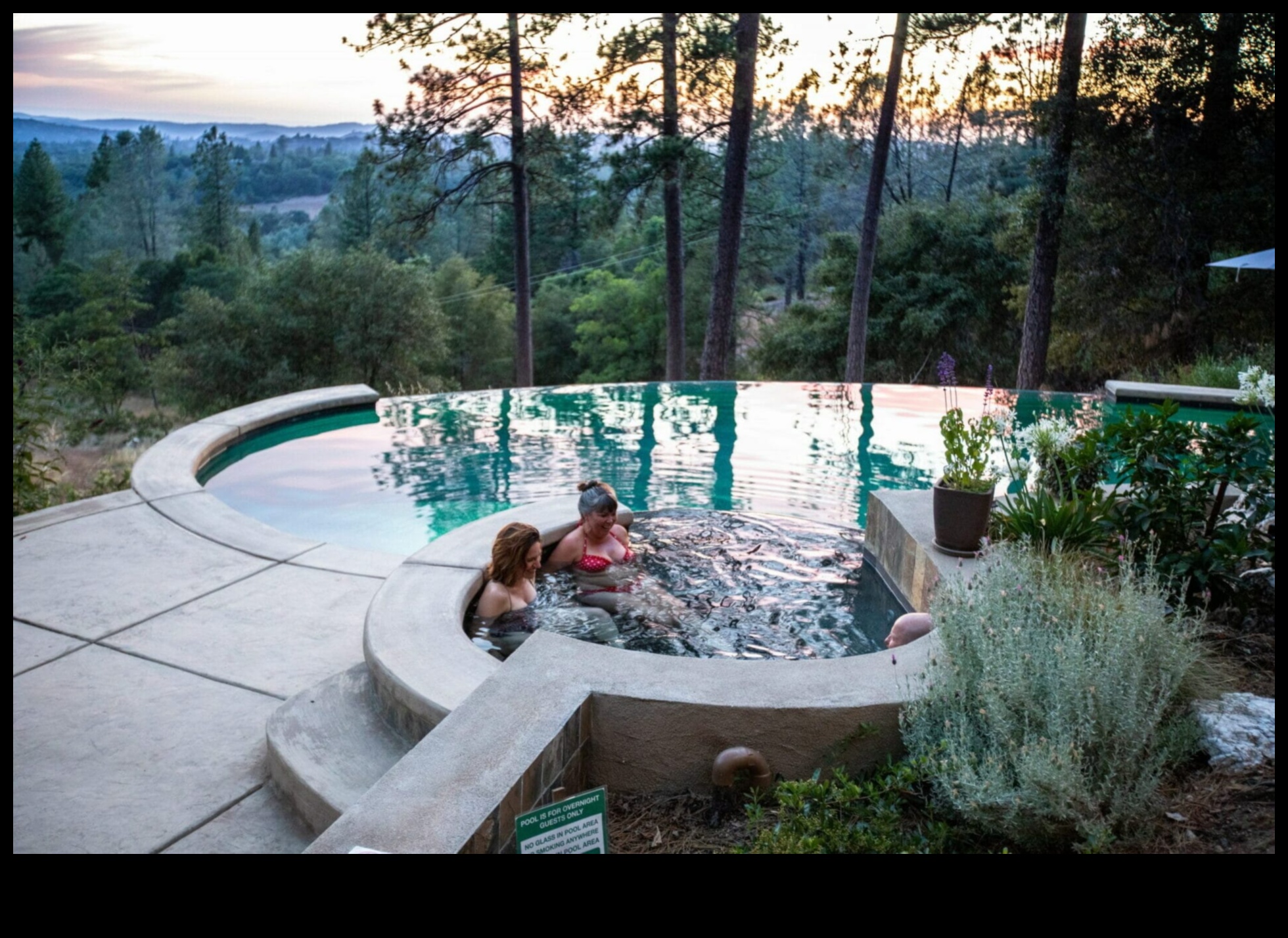 Cottage Reverie: mūžīga skaistuma radīšana dārza rekolekcijās