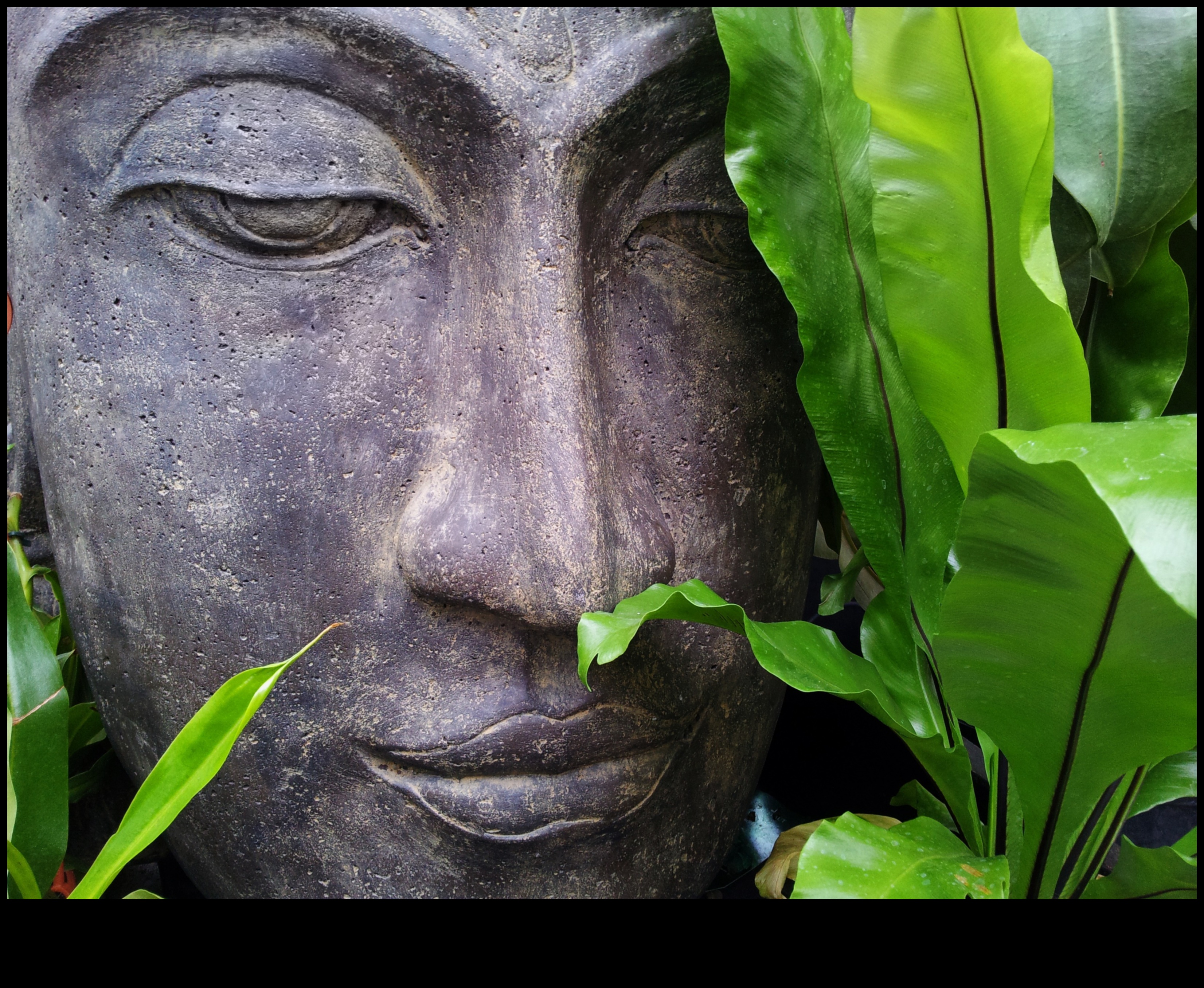 Tēlniecības miers: DIY projekti mierīgam dārzam