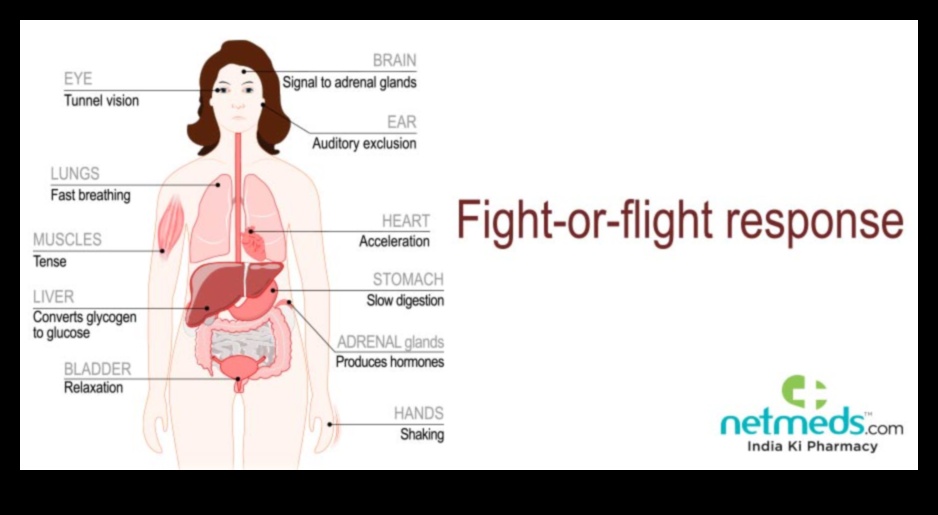 Pastiprināts adrenalīns: iedarbīgas rutīnas maksimālam saviļņojumam