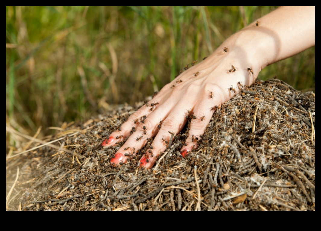 Zaļie briesmās? Dārza kaitēkļu aizsardzības mākslas apguve