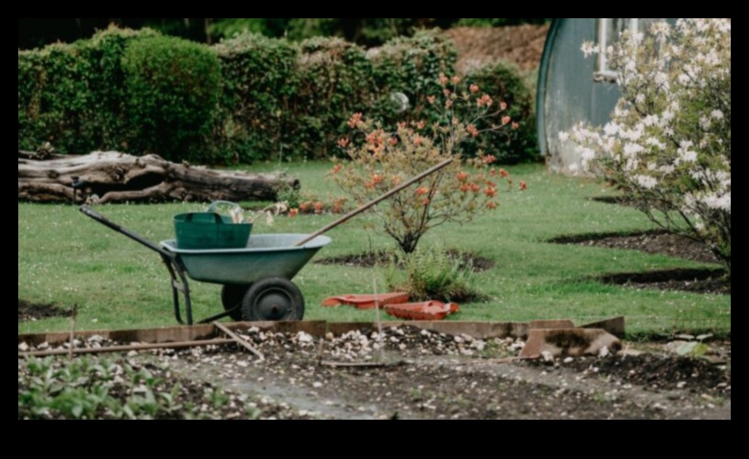 Spožums visu gadu: dārza kopšanas pielāgošana līdz pilnībai