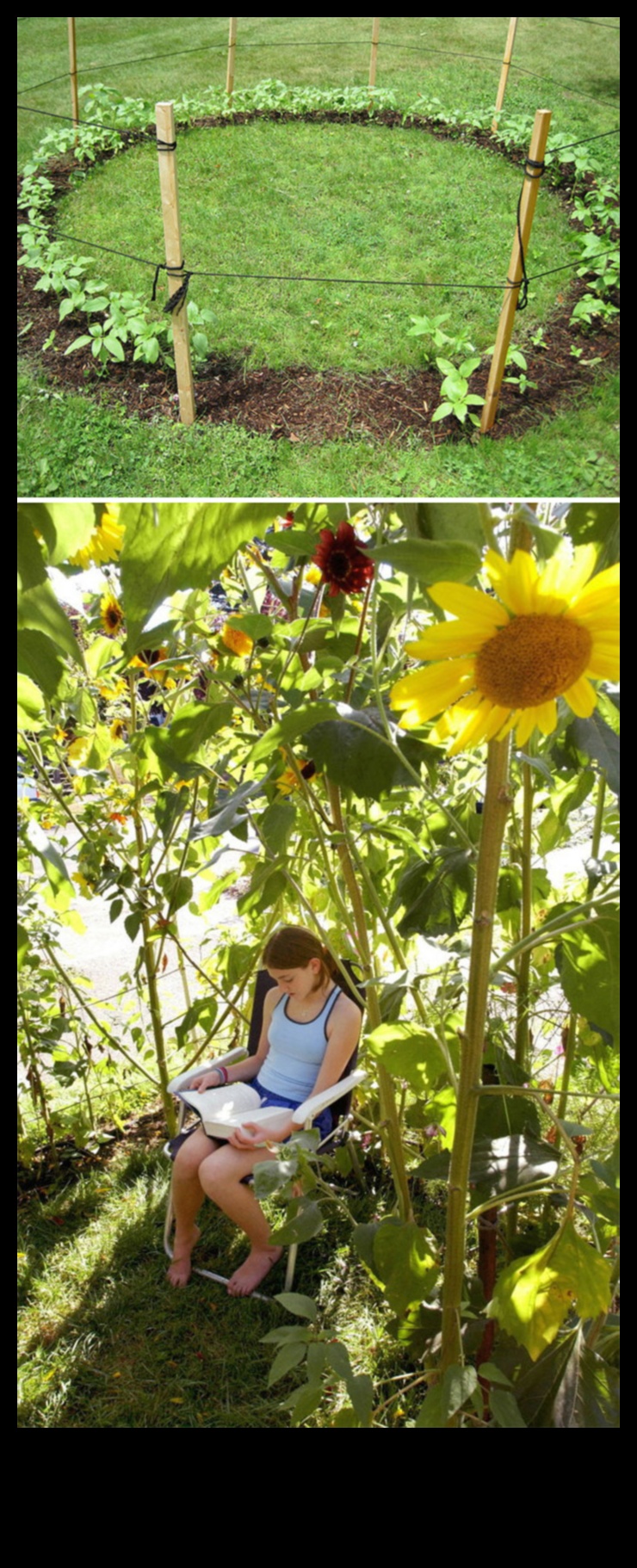 Green Thumb Artistry: radoši DIY dārza entuziastiem