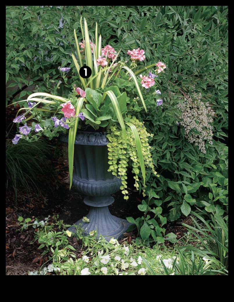 Ziedošas kastes: konteineru dārzkopība katrai sezonai