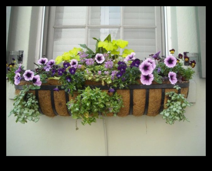 Ziedošas kastes: konteineru dārzkopība katrai sezonai