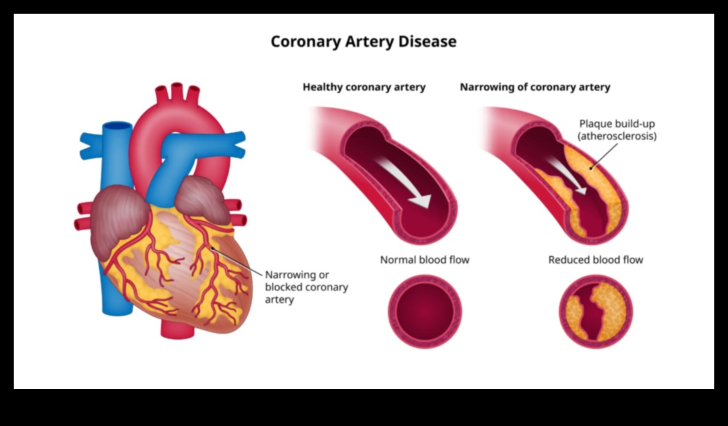 Sirds veselības horizonti: kardio fitnesa dziļumu izpēte