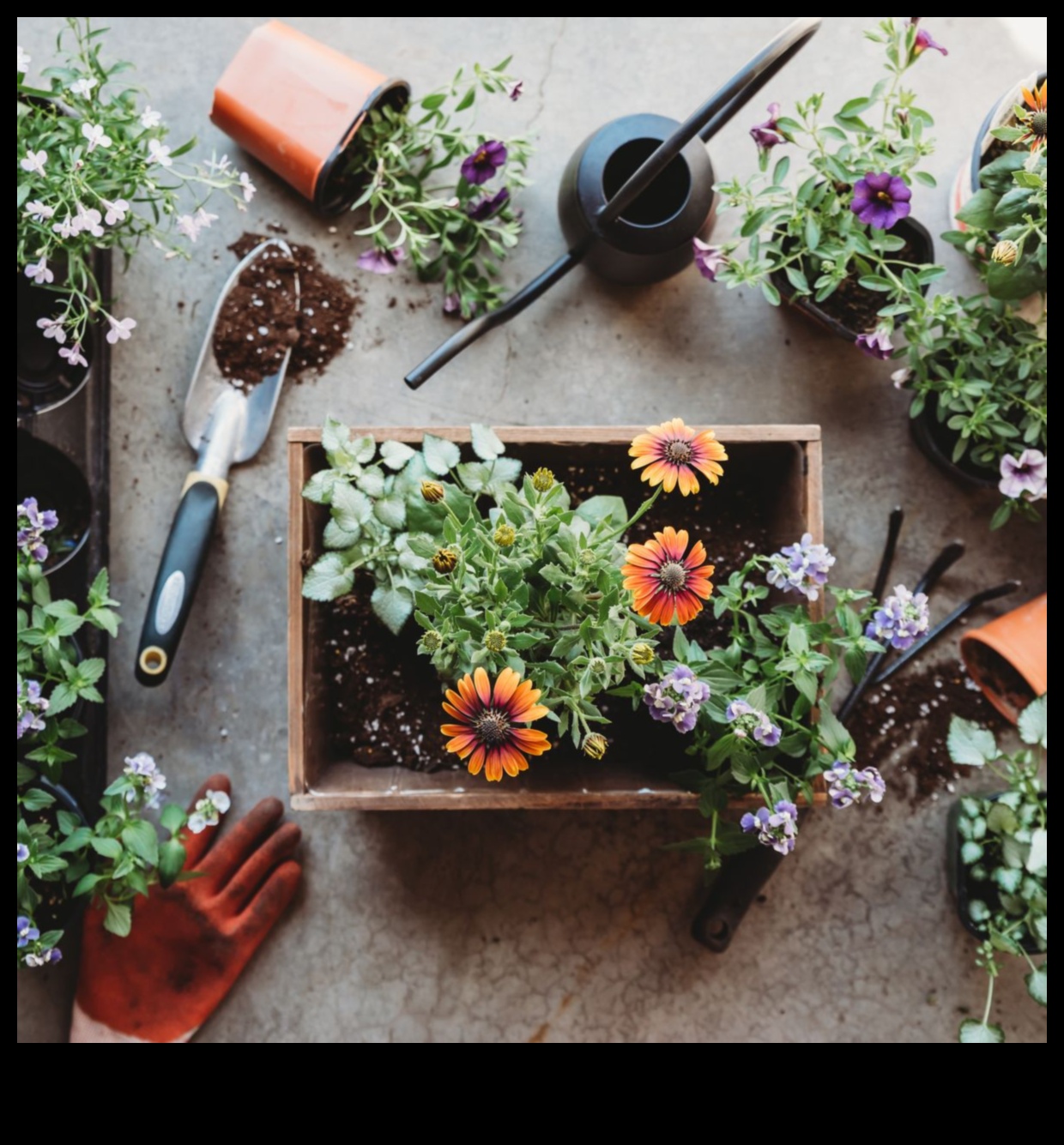 Sēj, audzē, plaukst: būtiski dārzkopības ieskati