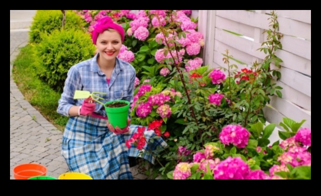 Sēj, audzē, plaukst: būtiski dārzkopības ieskati