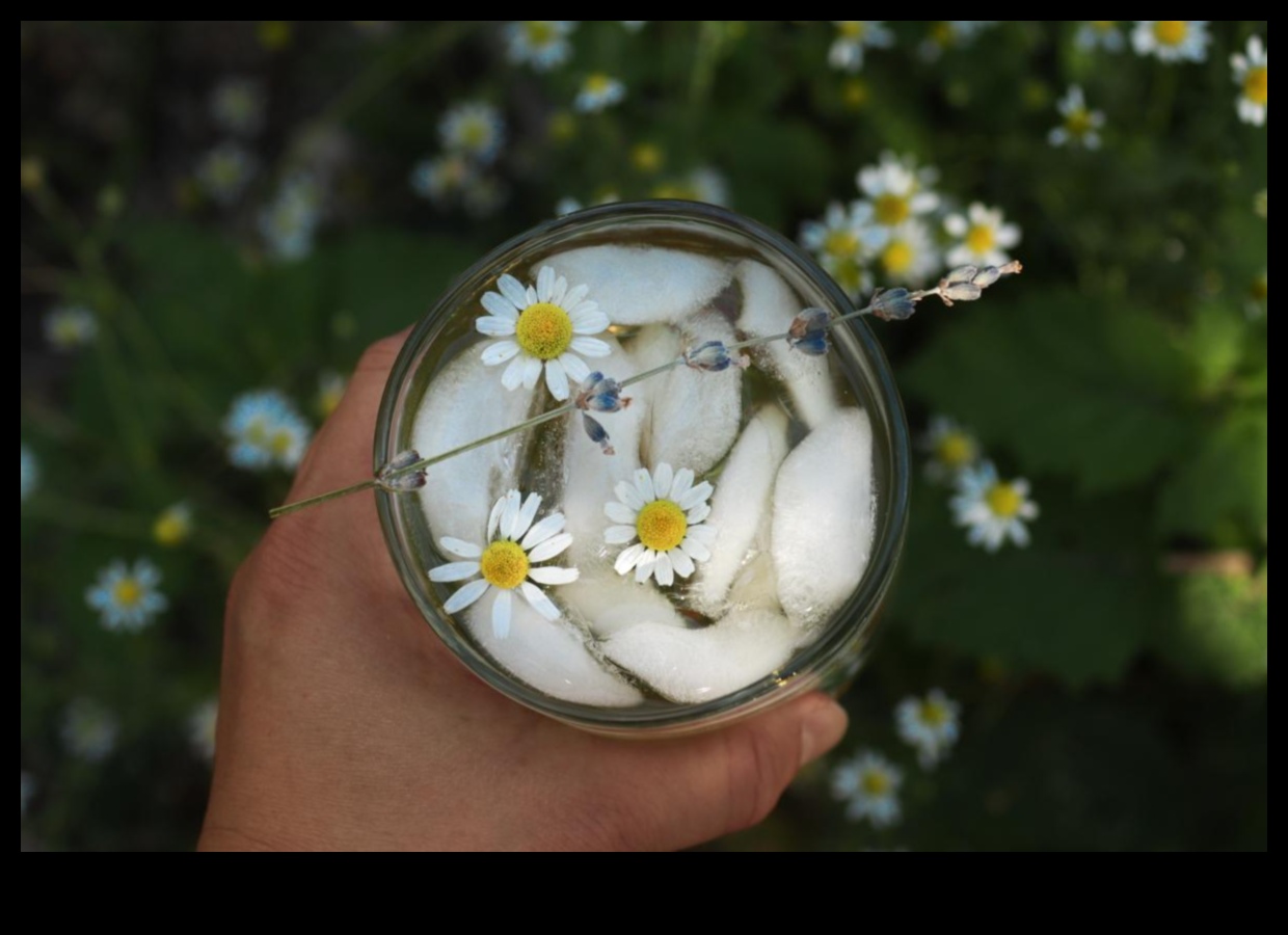 DIY kumelīšu tējas bārs: izveidojiet savu personalizēto relaksācijas dzērienu