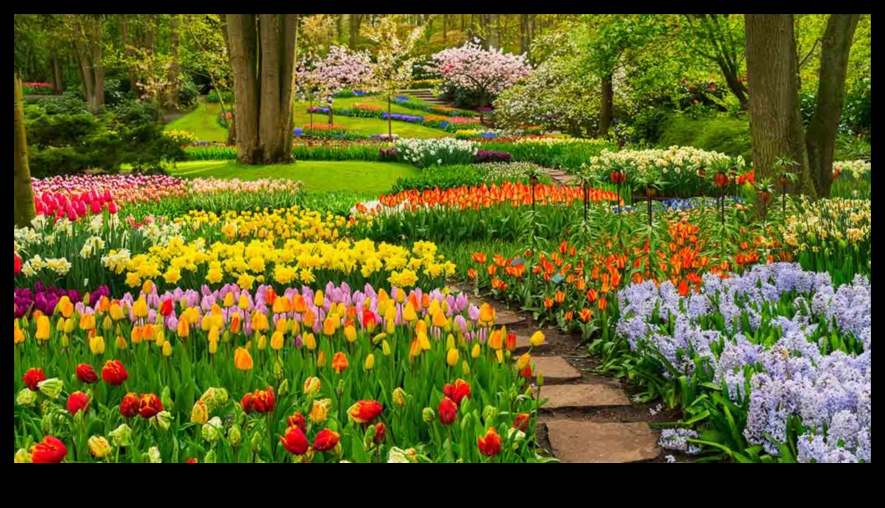 Draugs Blūms: uzlabojiet savu dārzu, stādot kompanjonu