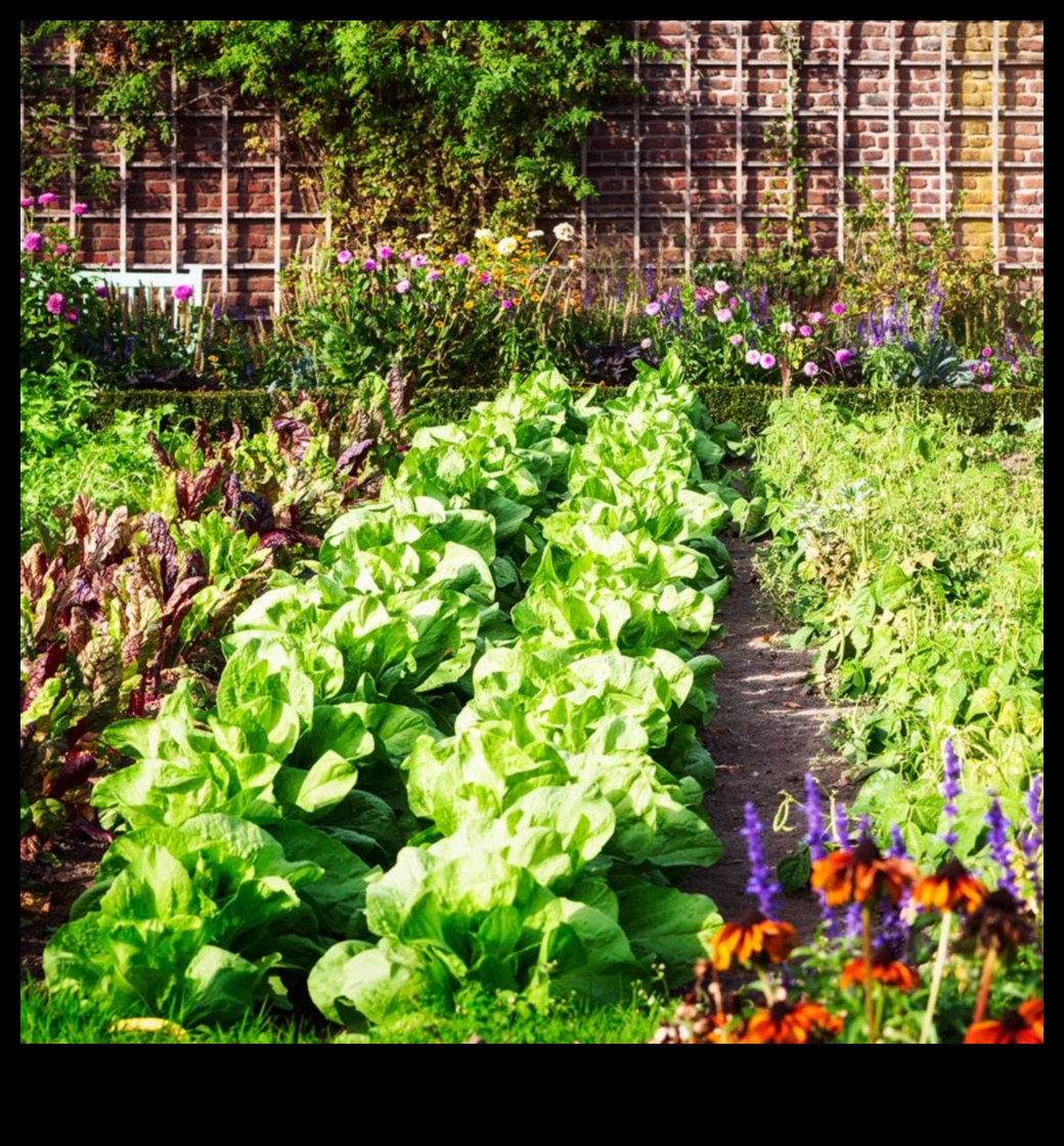 Draugs Blūms: uzlabojiet savu dārzu, stādot kompanjonu