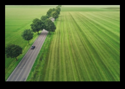 Zaļais ceļš: videi draudzīgas iniciatīvas automobiļu pasaulē