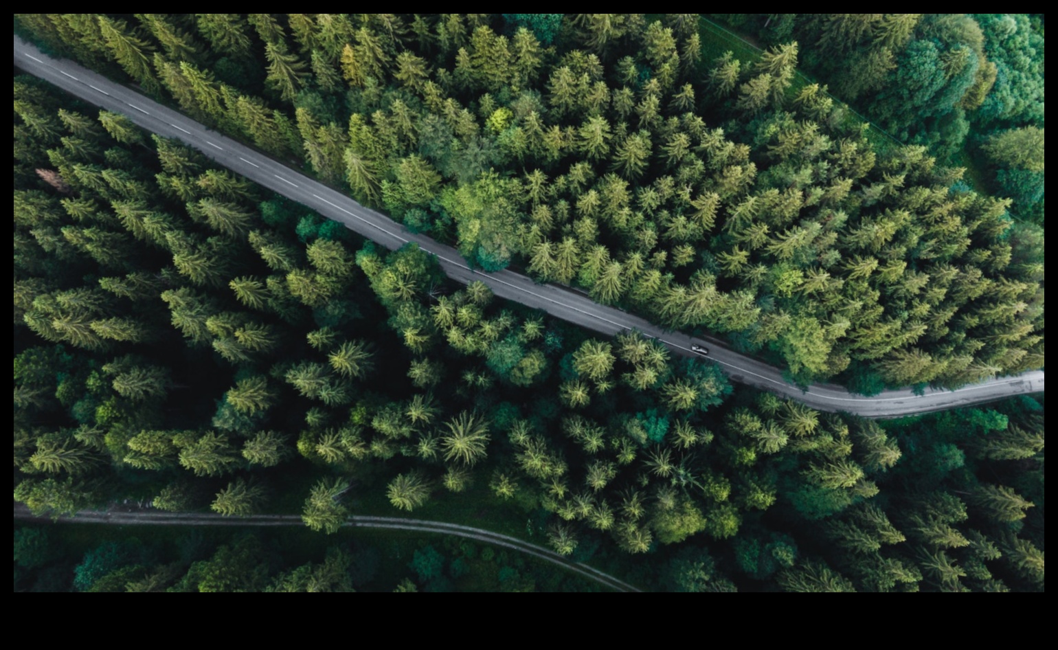 Zaļais ceļš: videi draudzīgas iniciatīvas automobiļu pasaulē