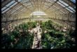 Botāniskā svētlaime: izpētiet mūsu siltumnīcas brīnumus