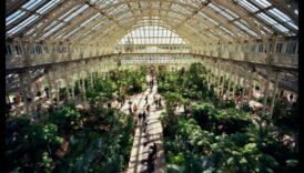 Botāniskā svētlaime: izpētiet mūsu siltumnīcas brīnumus