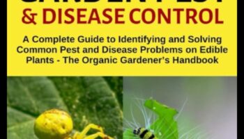 Cīņa ar dārza kļūdām: dārznieka rokasgrāmata par kaitēkļu meistarību