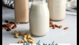 DIY Nut Milk Bliss: unikālu kokosriekstu piena maisījumu izveide mājās