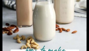 DIY Nut Milk Bliss: unikālu kokosriekstu piena maisījumu izveide mājās