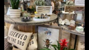 Green Thumb Artistry: radoši DIY dārza entuziastiem