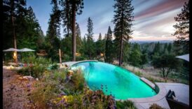 Cottage Reverie: mūžīga skaistuma radīšana dārza rekolekcijās