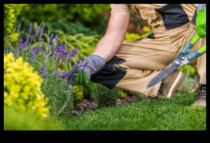 Spožums visu gadu: dārza kopšanas pielāgošana līdz pilnībai