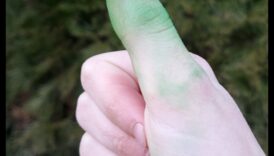 Zaļie dārgakmeņi: DIY brīnumi jūsu apburtajam dārzam