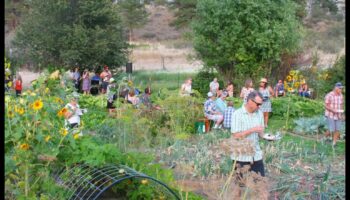 Ziedu klases: ziedošs spožums dārza izglītībā